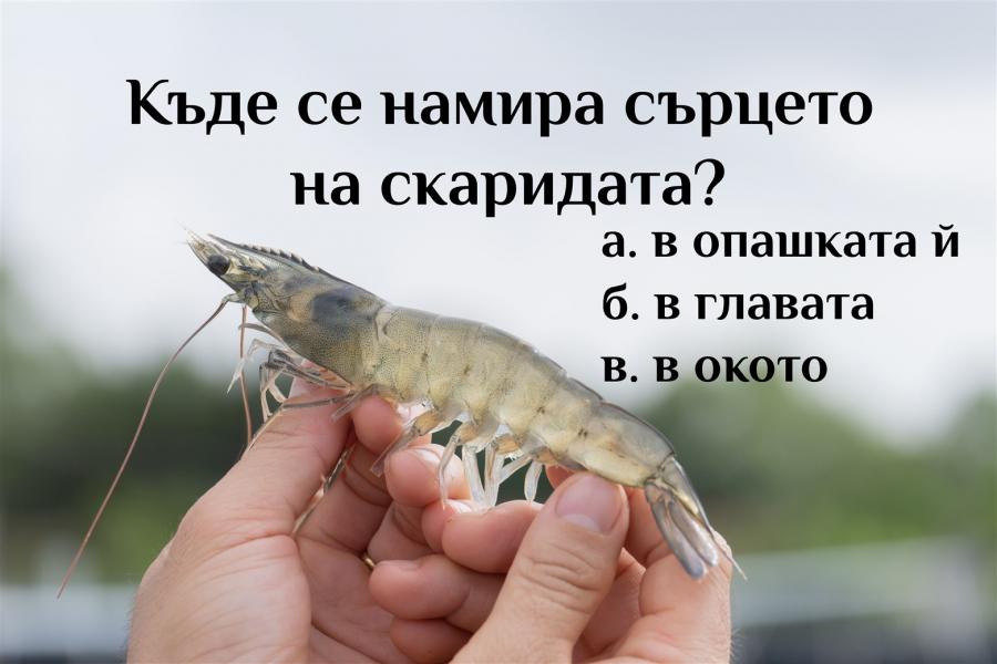 Проверете общата си култура с този интересен тест