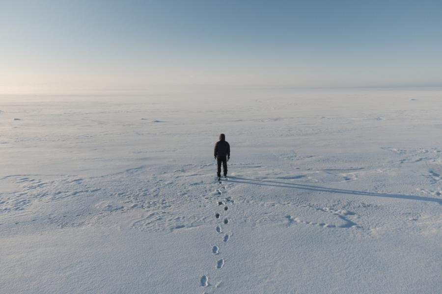 Арктика може да остане без лед през лятото още идното десетилетие