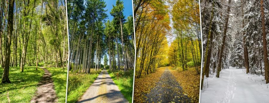 Променят ли се сезоните по света и в България?