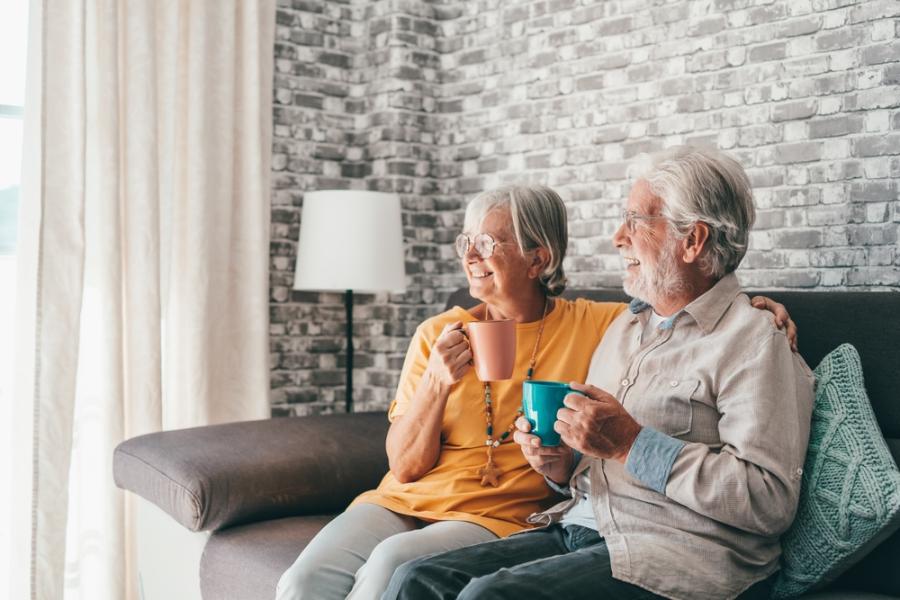 Виц: Пено, ма, колко години живеят свинете?