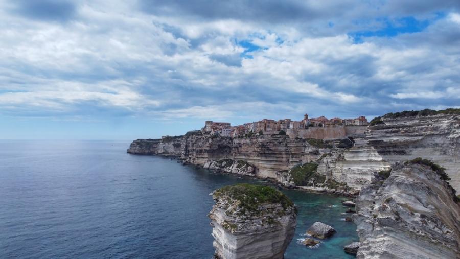 Учени откриха нови видове насекоми в Корсика