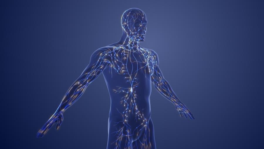 Създадоха полимер, подходящ за печат на изкуствени органи