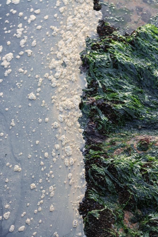 Австралийски учени създадоха преносим биосензор за бързо откриване на „вечни химикали“ във водата