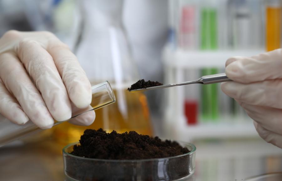 Микроорганизми с мисия да изчистят токсичните почви в Европа