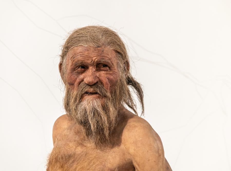 Учени разкриха как са направени татуировките на ледения човек Йоци 