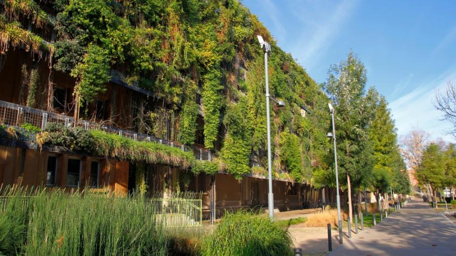 Възможно ли е екологично и достъпно строителство на сгради? 