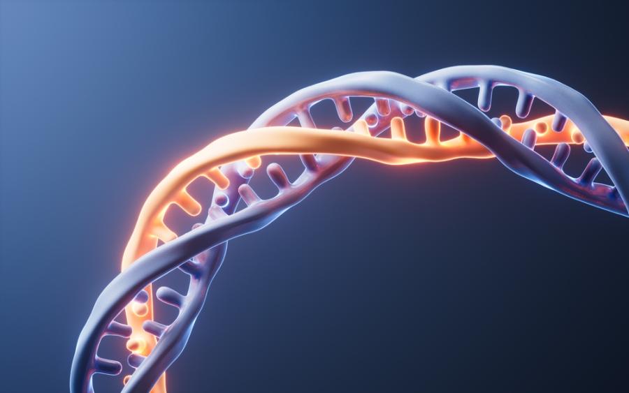 Китайски учени откриха генетичен дефект, свързан със системен лупус еритематозус