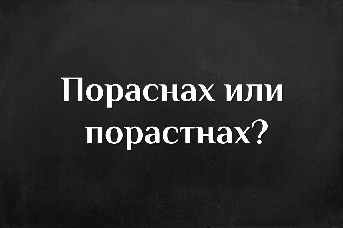 Кое е правилното?