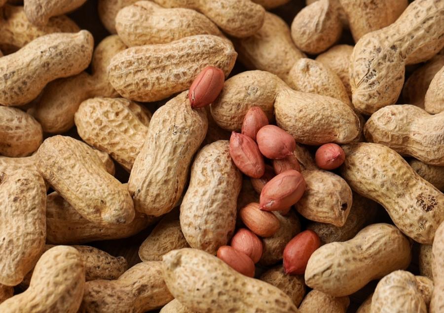 Десет години по-късно: ранното захранване с фъстъци доказано предпазва хиляди деца от алергии