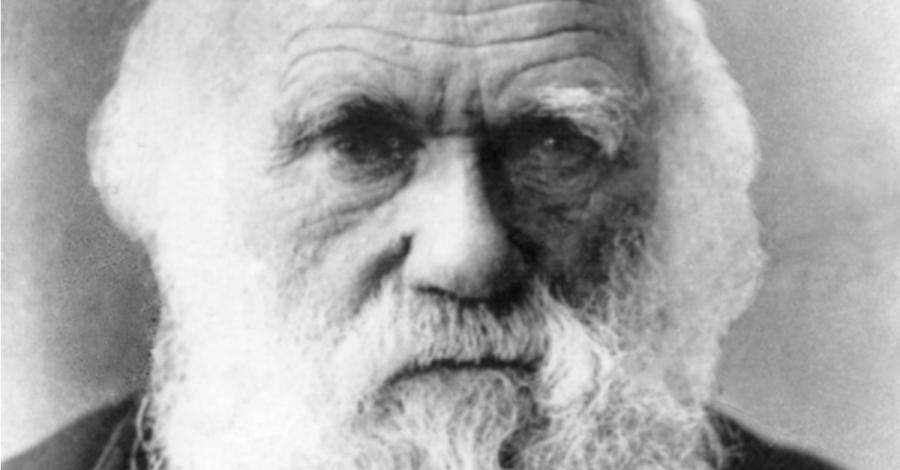 Любовта към всички живи същества е най-благородната черта у човека: 15 култови цитата от Дарвин