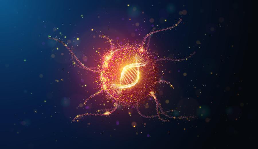 Нанопластмаси в човешките клетки: Ново изследване разкрива сериозни рискове за ДНК и здравето