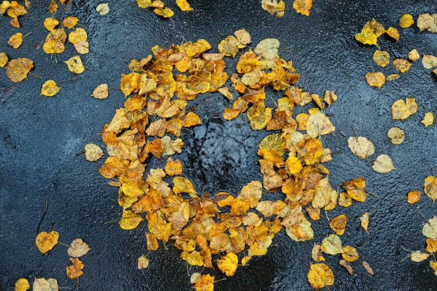 Ноември под лупа: за слабия COP30, тревожните научни сигнали и единствения глобален успех