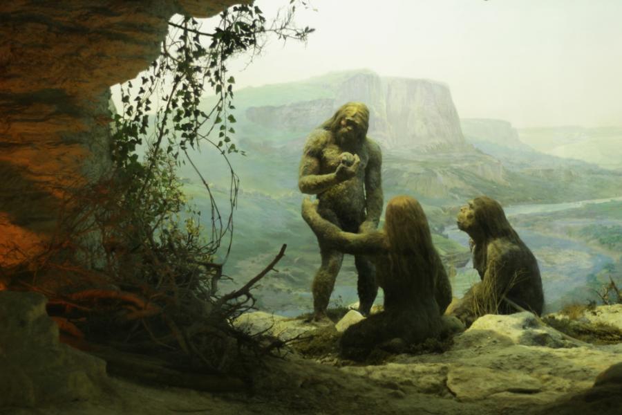 Откриха нови доказателства за селективен канибализъм сред неандерталците в Европа