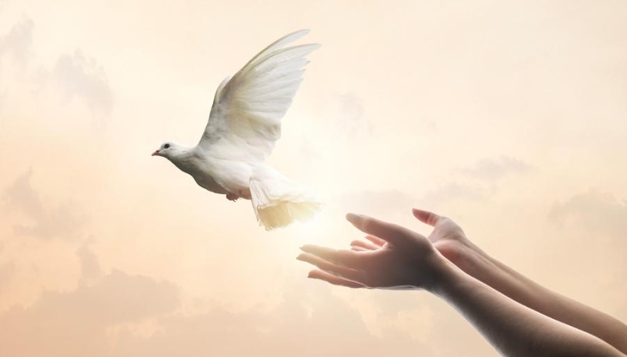 Не можем да следваме принципа 