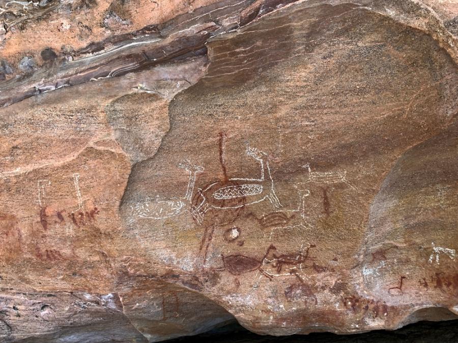 Откриха древни скални рисунки на камили и газели в Саудитска Арабия