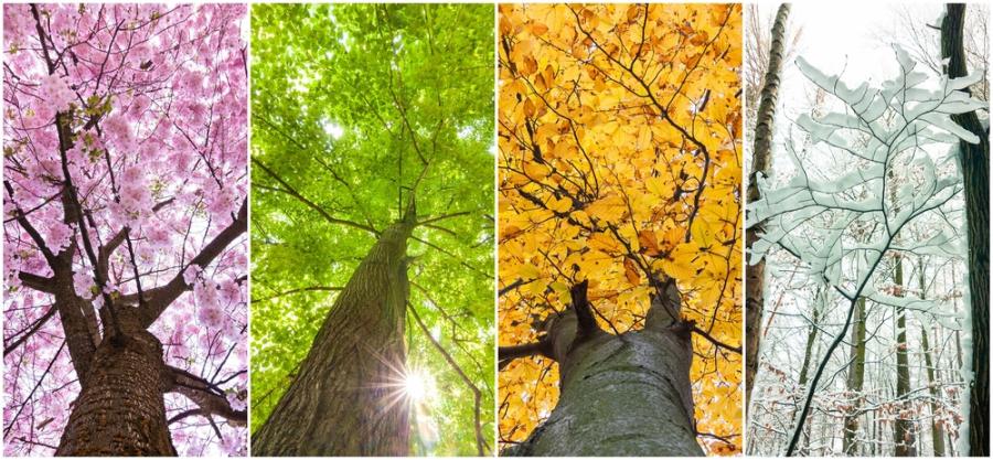 Кажи ни кой е любимият ти сезон и ще ти кажем що за човек си