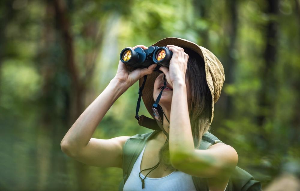 Наблюдението на птици може да подпомогне предпазването на мозъка с напредъка на възрастта