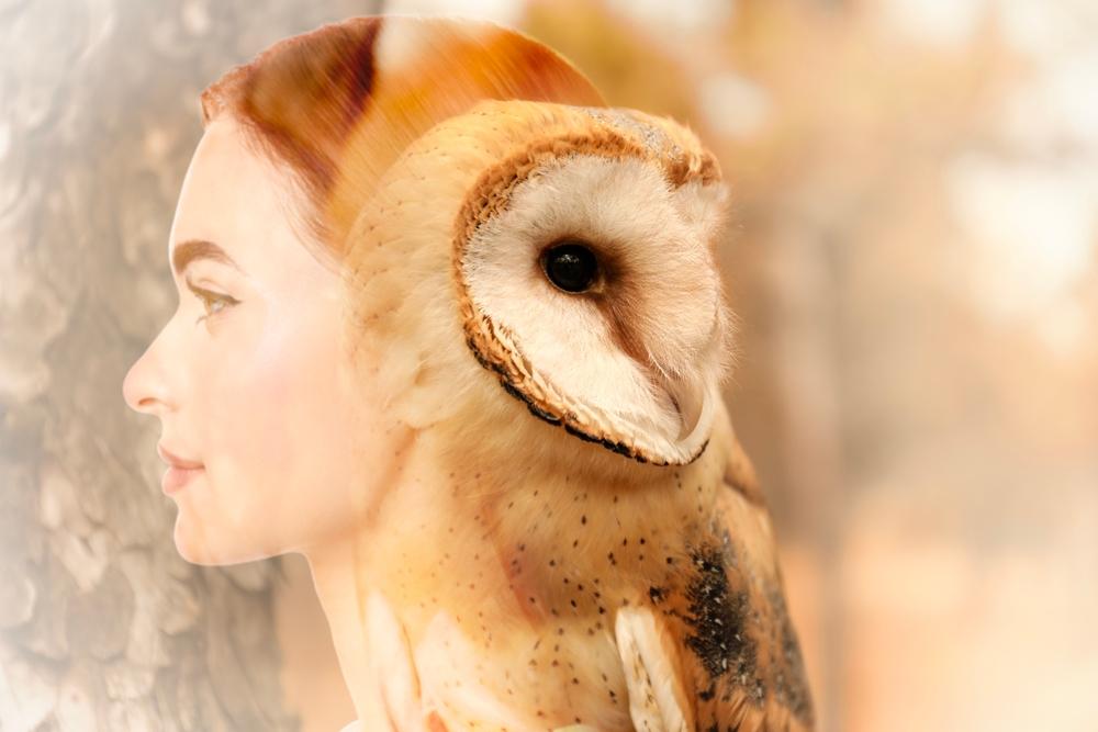 Смисълът на живота е във вътрешния ни баланс 