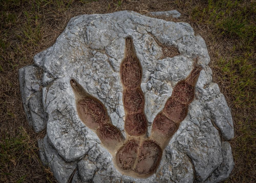 Изкуствен интелект определя кой динозавър кои отпечатъци е оставил и о