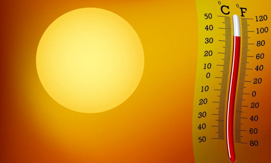 Близо 14 000 учени предупреждават, че „жизнените показатели“ на Земята се влошават бързо