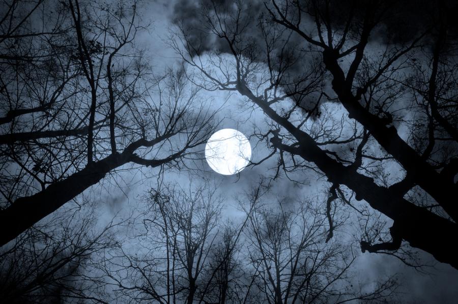 Днес ще наблюдаваме Вълче лунно затъмнение