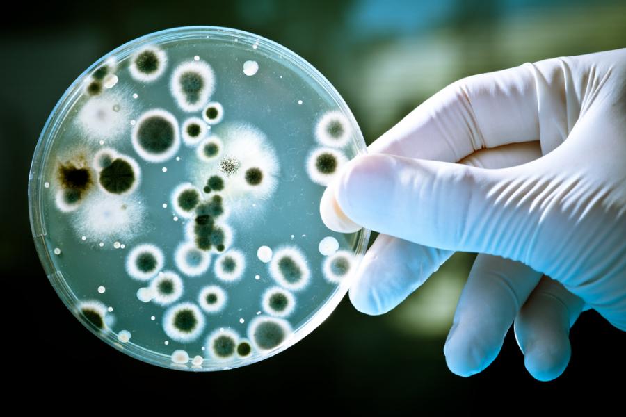 Всеки човек излъчва уникален “облак” от микроби