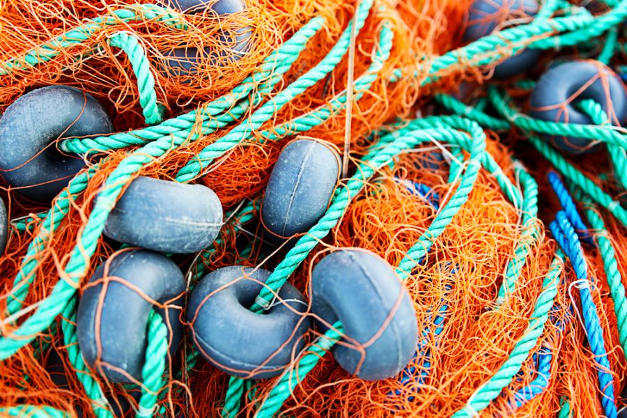 Незаконният риболов излага на риск океанските ресурси