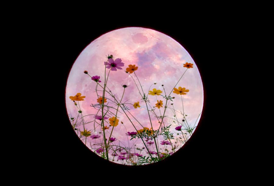 Тази вечер ни очаква Суперлуната 