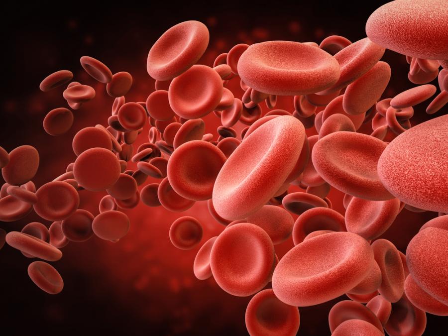 Диагностиката с изкуствен интелект повишава точността на клинични тестове на кръвни клетки