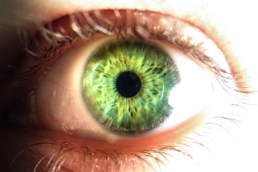 Никой не се ражда със зелени очи