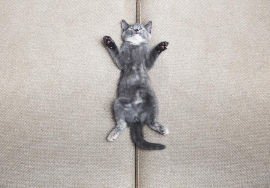 Ползите от добрия сън