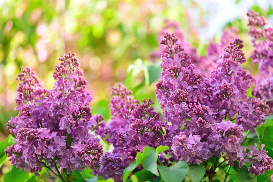 Май 2021 г. – малко по-топъл от нормалното