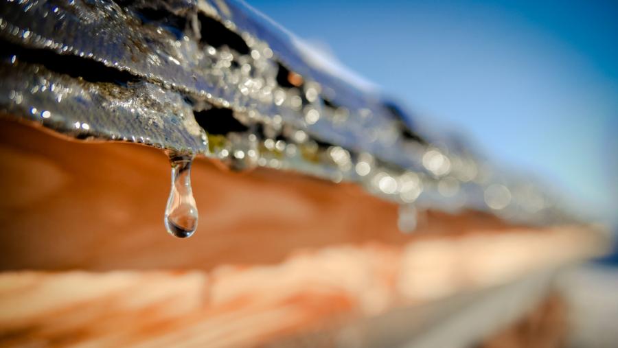 В Европа е отчетен третият най-топъл януари от 1991 г. насам, в Испания и Франция температурите достигнаха плажни стойности от 24,9 °C