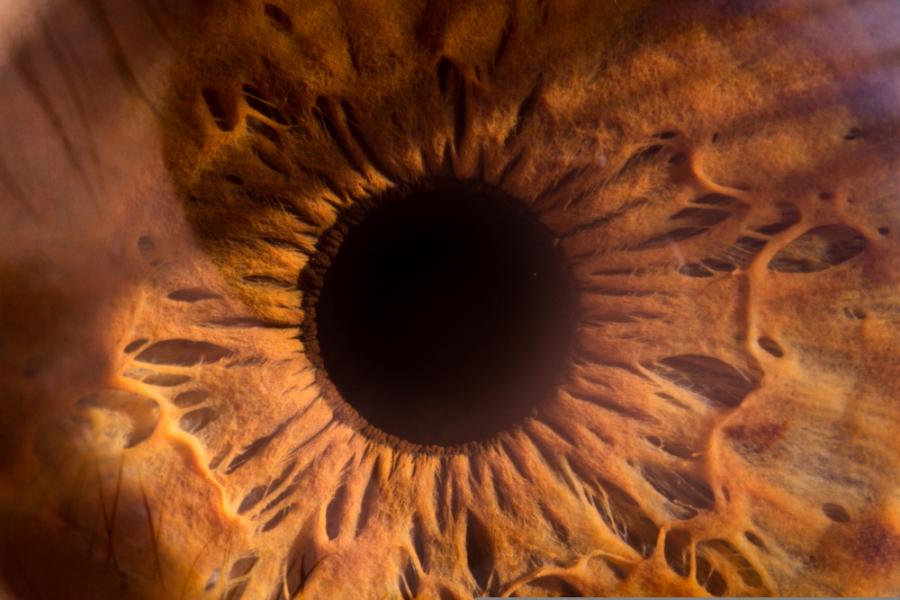 Откриха тъкан в човешкото око, която изглежда е резистентна на SARS-CoV-2