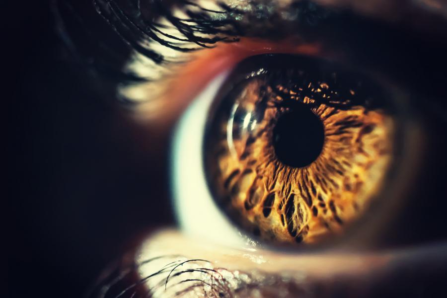 Хирурзи от Ню Йорк извършиха първата в света трансплантация на цяло око 