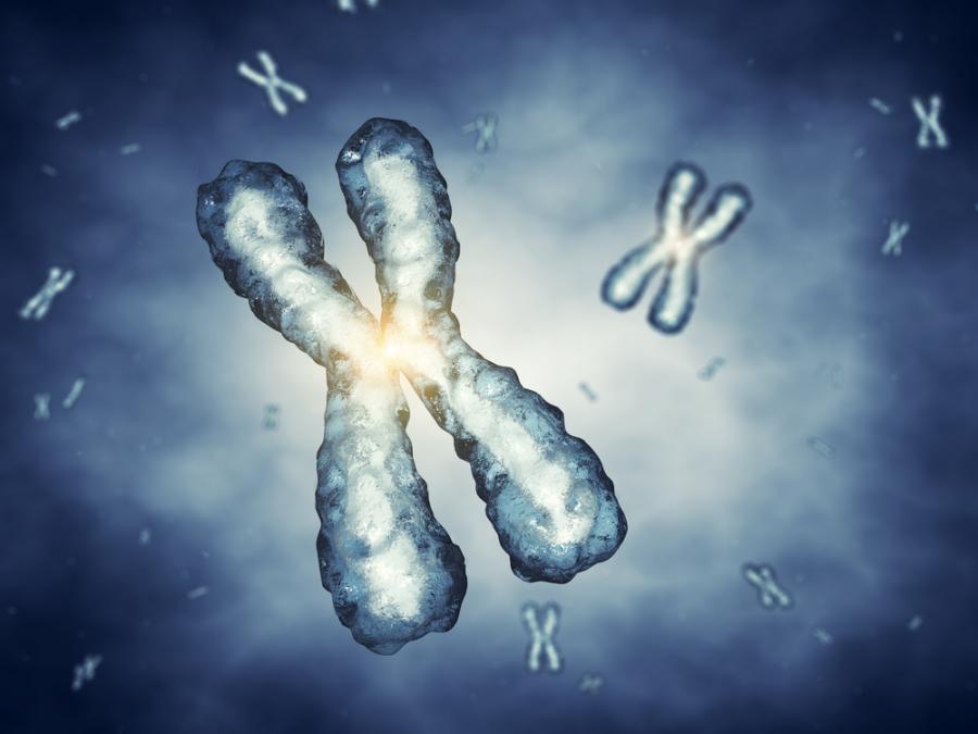 За първи път учени направиха пълна секвенция на човешки хромозом