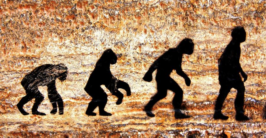 Ето каква е възрастта на човешката походка