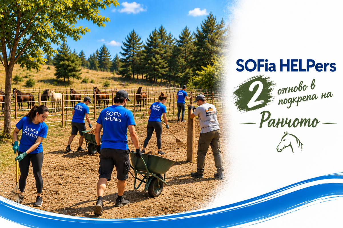 SOFia HELPers отново в подкрепа на Ранчото