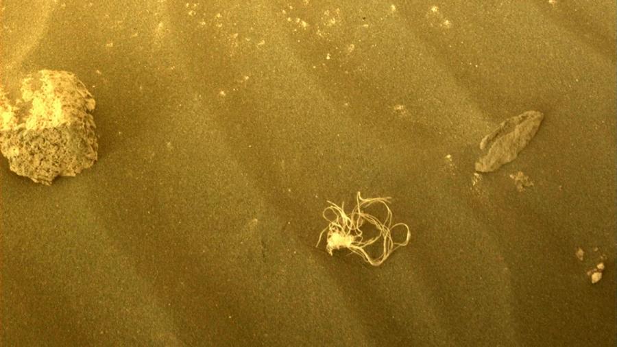 Обичат ли марсианците спагети?