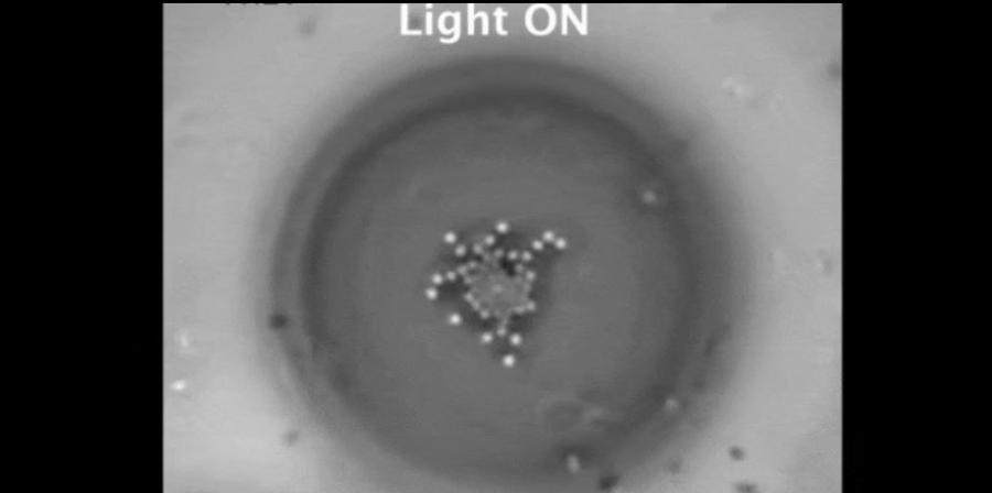 Физици карат частици да 