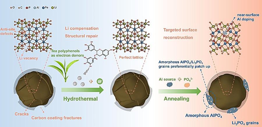 Съединения от чай вдъхват нов живот на изтощени литиеви батерии