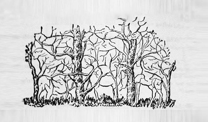 Животно, което различите, ще разкрие същността на вашата личност