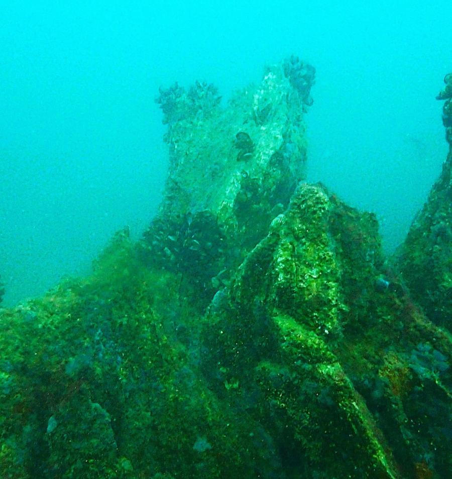 „Подводна вкаменена гора“ - уникален природен феномен в Созополския залив