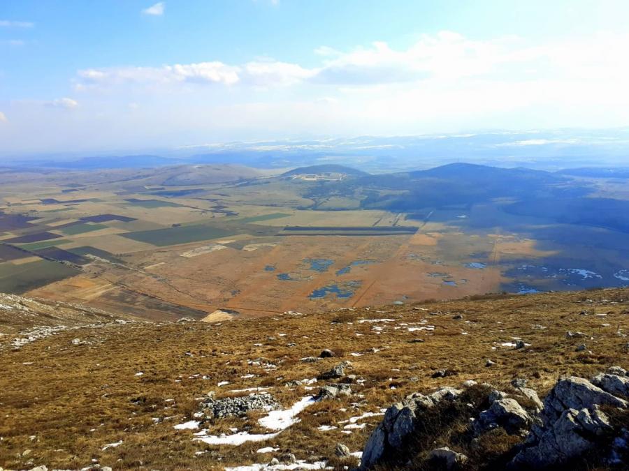 В Месеца на Земята WWF разказва за възстановяването на Драгоманското блато