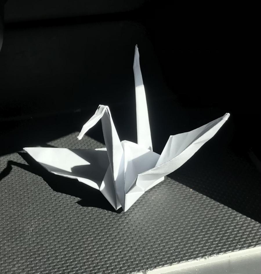 Хиляди жерави в подкрепа на хората с множествена склероза