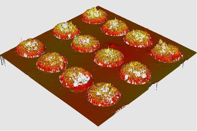 Учени разработват нови материали за ортопедични импланти