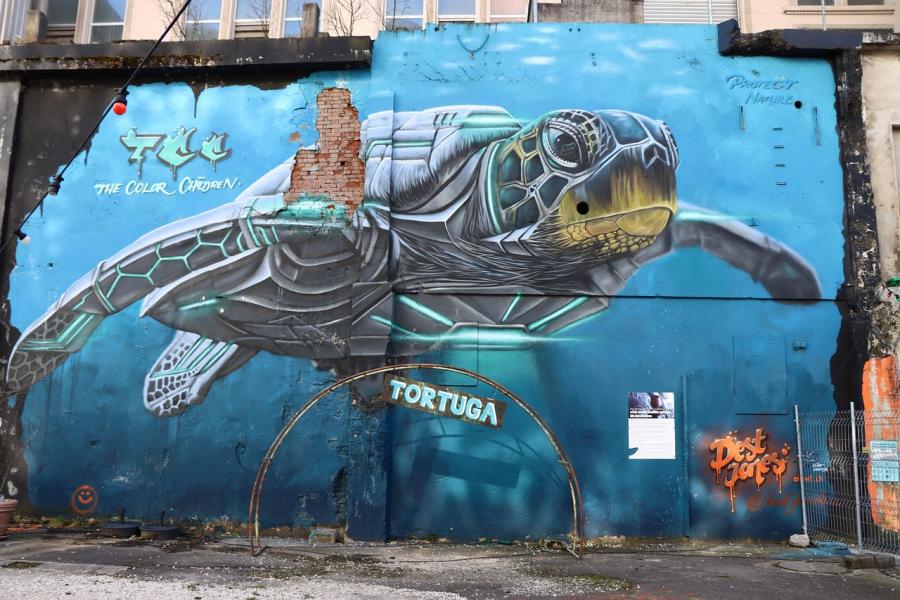 Как зелената реклама оформя психологията, дизайна и поведението ни