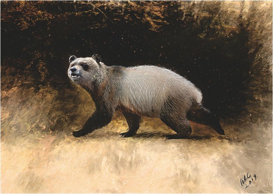 Непознат досега вид голяма панда е обитавал земите на България преди шест милиона години