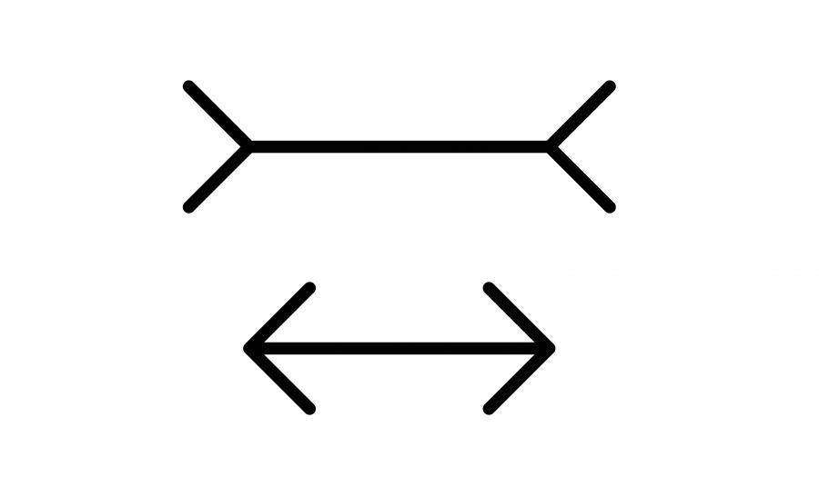 ТЕСТ: Двете хоризонтални линии с еднаква дължина ли са?