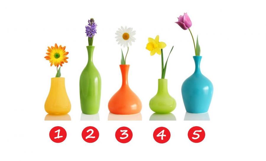 Вазата, която изберете, говори за това на какво държите в дома си